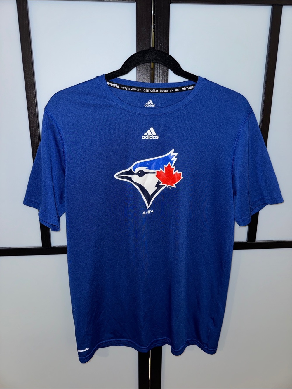 adidas Men’s Blue Toronto Blue Jays Performance Tee - Kids Size XL (18)